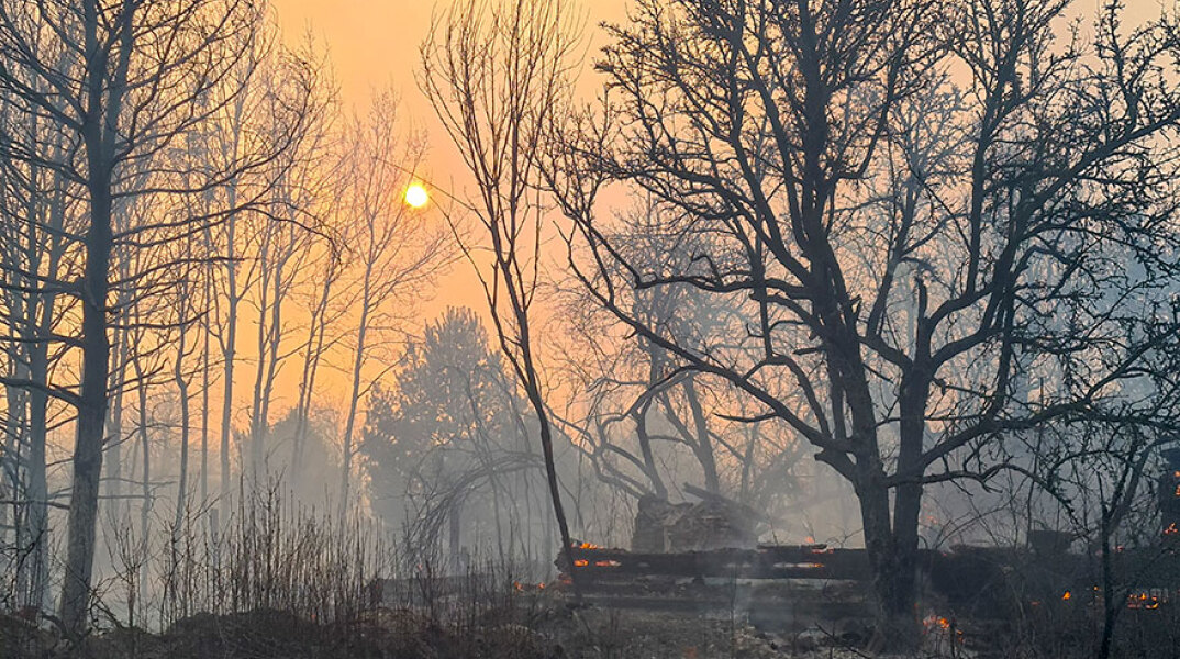 Στάχτη και αποκαΐδια σε δασική περιοχή εντός της ζώνης αποκλεισμού περιμετρικά του πυρηνικού εργοστασίου Τσερνόμπιλ