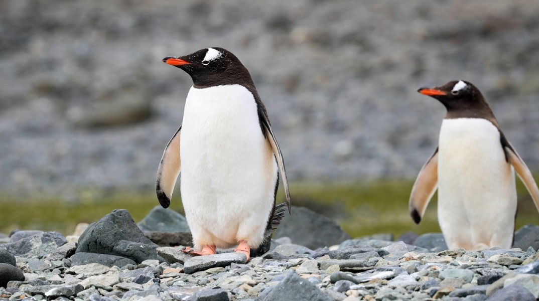O OHE Προειδοποιεί για την κλιματική αλλαγή