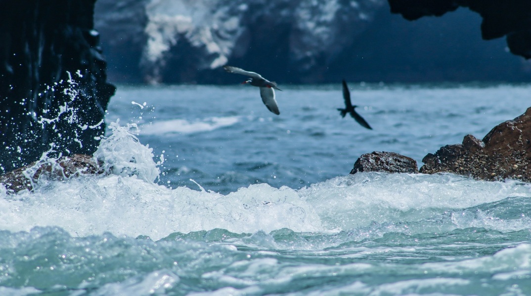 «Το τέλος του τέλους της γης»: Μια σειρά επίκαιρων δοκιμίων από τον πολυβραβευμένο Τζόναθαν Φράνζεν