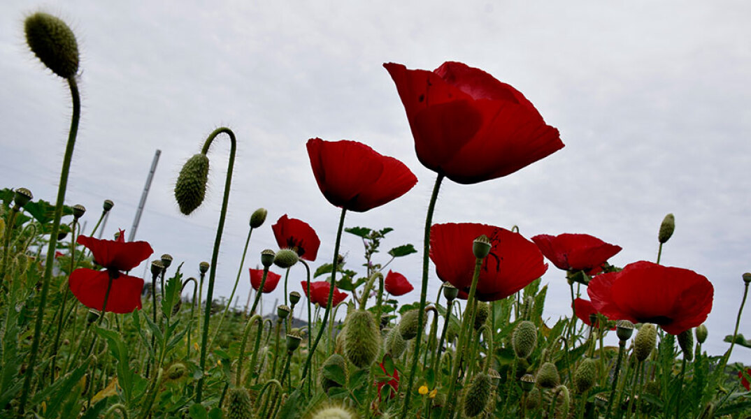 Ανοιξιάτικος καιρός