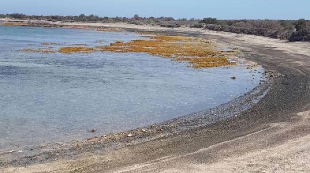 Μίνι «τσουνάμι» από τον σεισμό στην Κρήτη © neakriti.gr