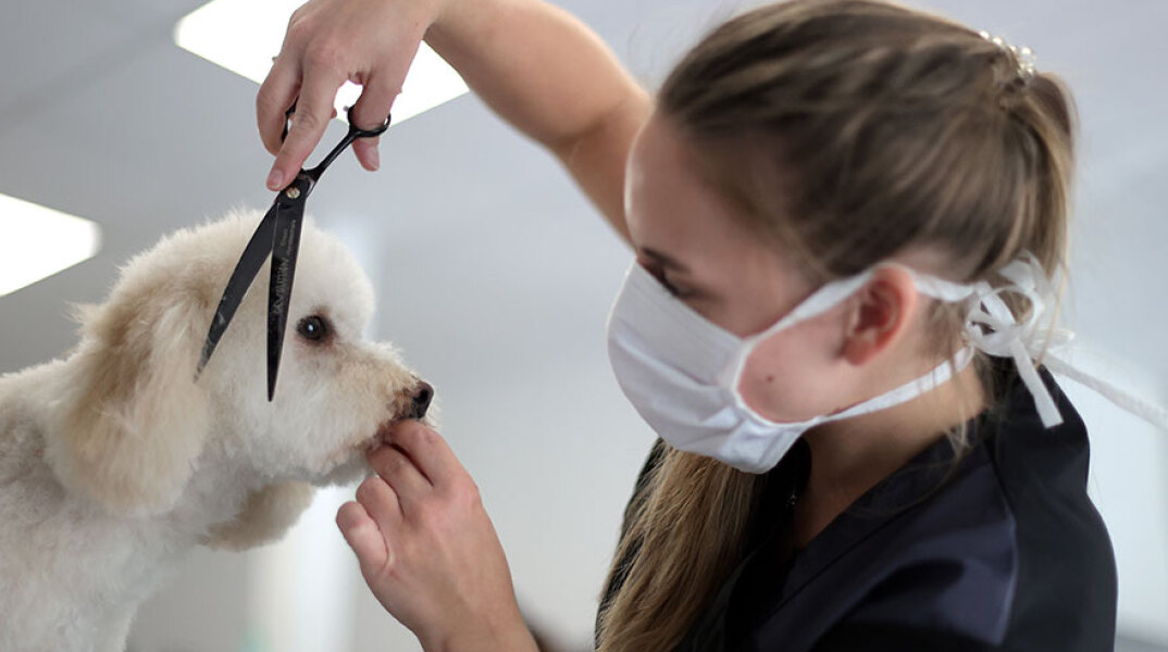 Γερμανία, Κορωνοϊός