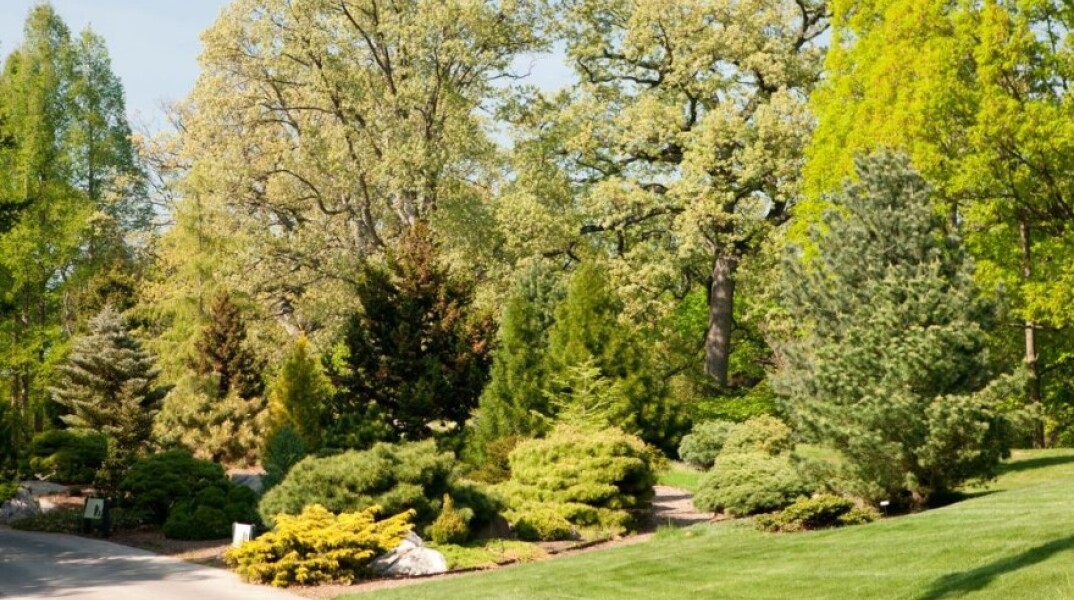 Βοτανικός Κήπος της Νέας Υόρκης