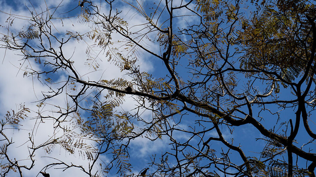 Πρόγνωση καιρού