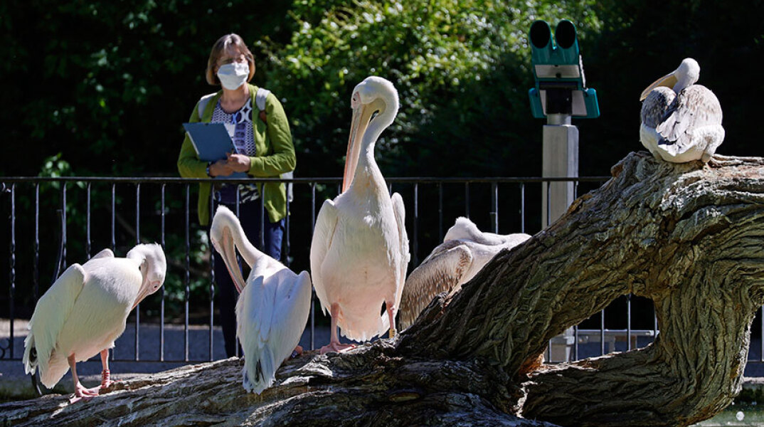 Γερμανία, Κορωνοϊός