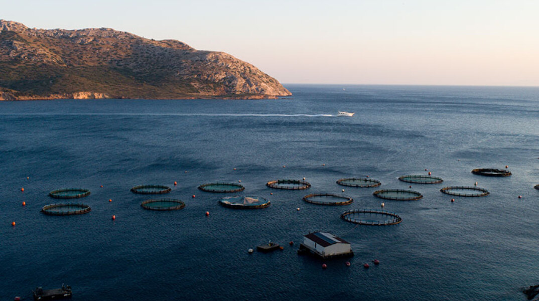 Παλαιά Φώκαια 