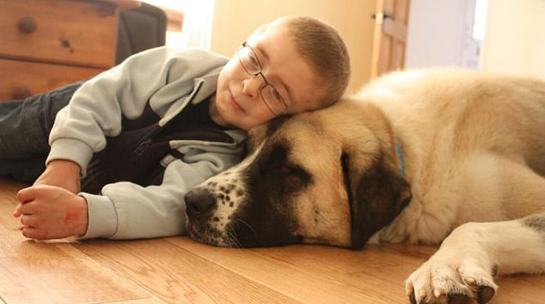 Χάατσι & Όουεν