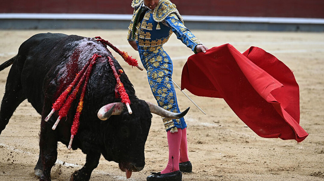 Ταυρομαχία, Ισπανία