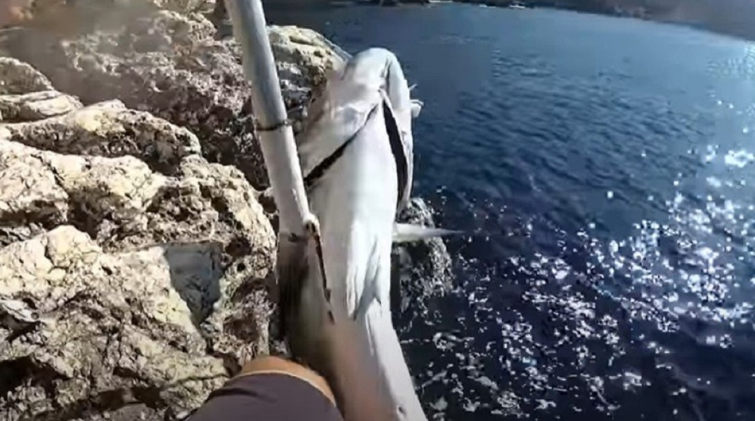 «Λίτσα» 24 κιλών από τον γκρεμό