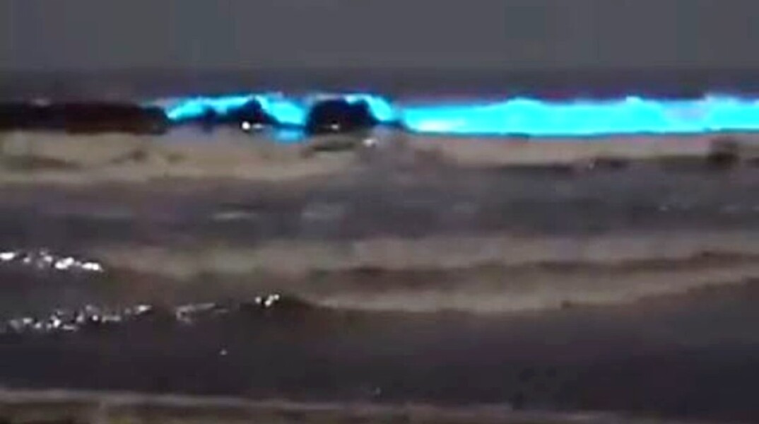 Ερυθρά Παλίρροια στην Καλιφόρνια