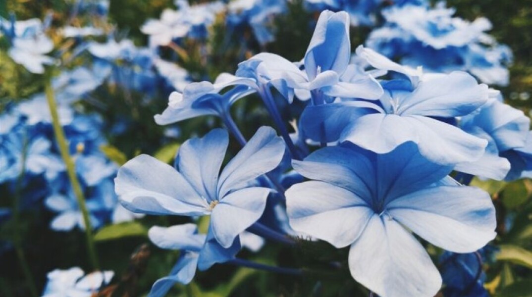 Εορτολόγιο 13 Μαΐου