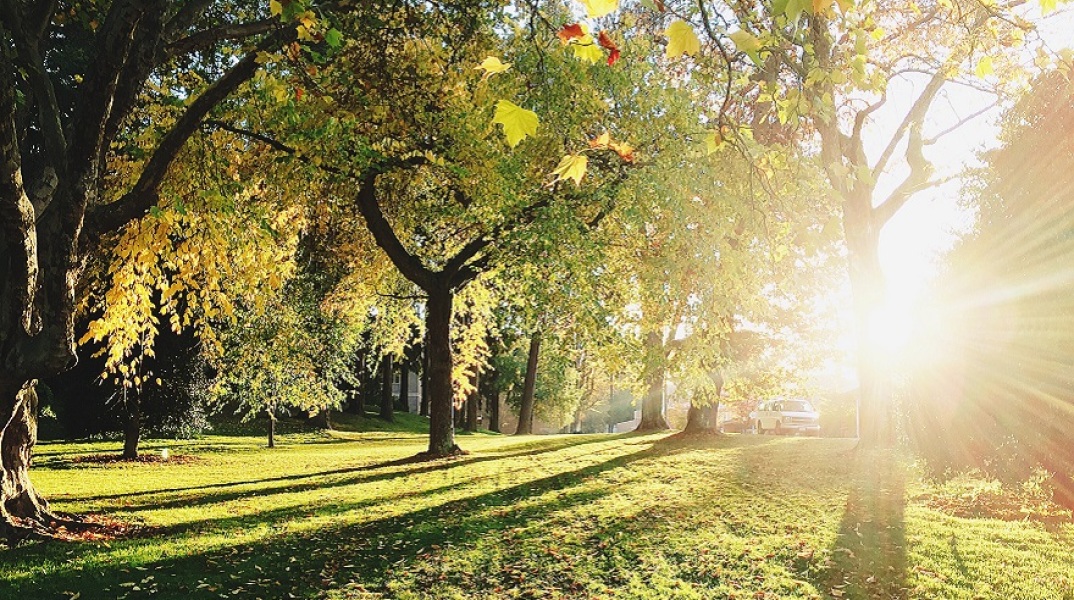 Δήμαρχοι για το δίκτυο C40 και την ανάκαμψη