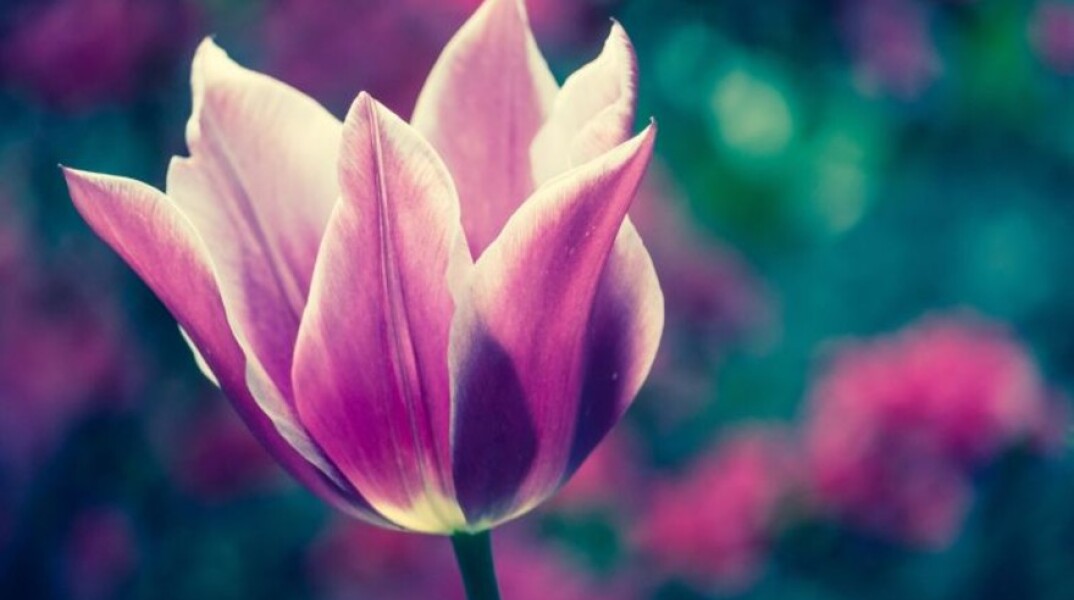 Εορτολόγιο