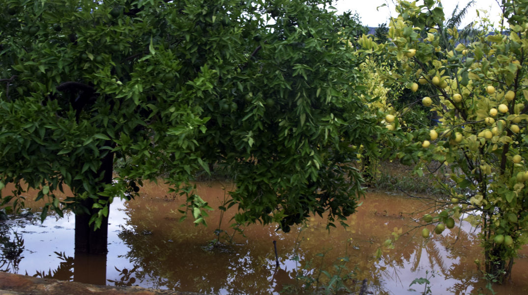 Αποζημιώσεις ΕΛΓΑ σε αγρότες για καταστροφές 