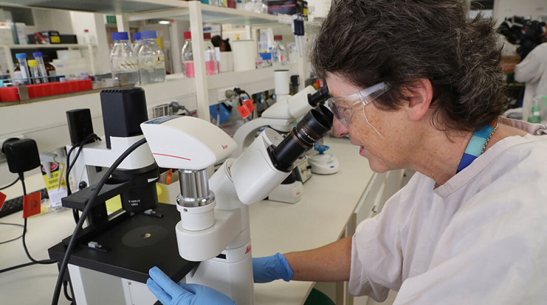 Κορωνοϊός και έρευνα 