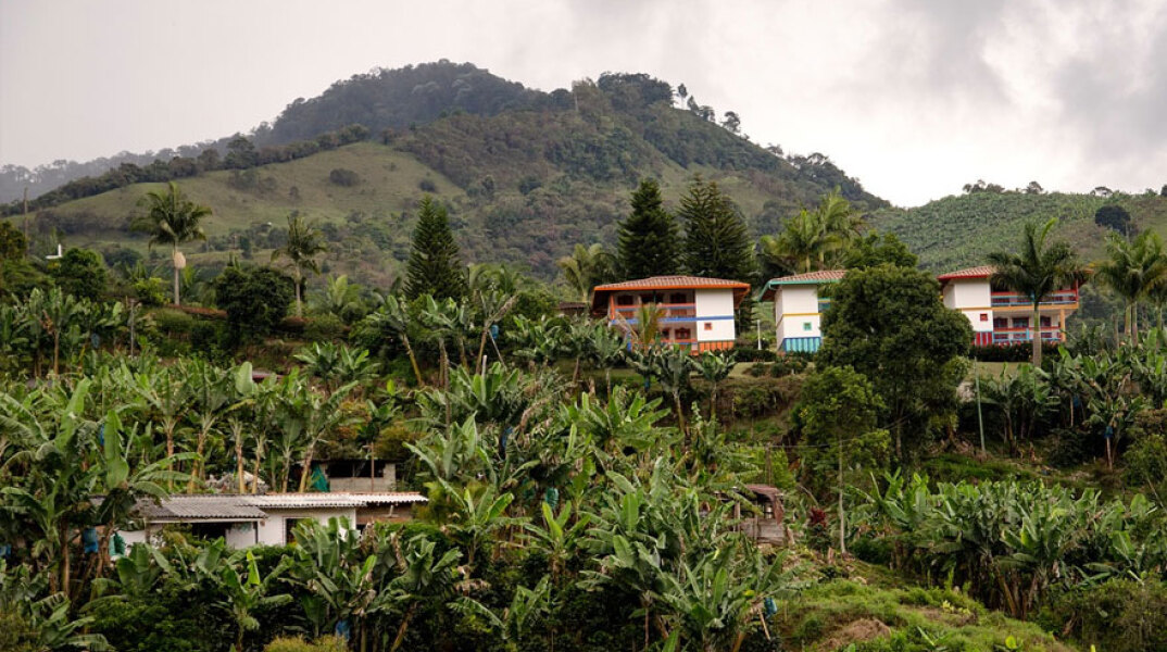 Κορωνοϊός: S.O.S από τους παραγωγούς καφέ στην Κολομβία - Δεν υπάρχουν εργατικά χέρια για να μαζέψουν τον καρπό
