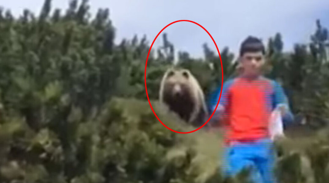 Πώς ένα παιδί στην Ιταλία έμεινε ψύχραιμο, έχοντας απέναντί του μια αρκούδα
