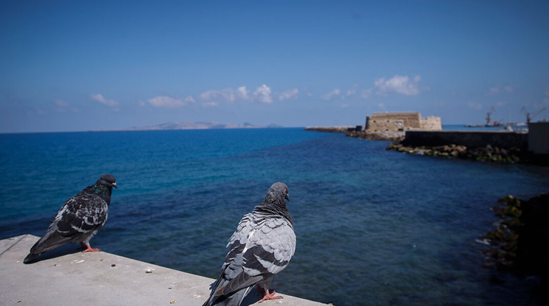 Ηράκλειο Κρήτης: Στην Εντατική νοσοκομείου ο άνδρας που έπεσε στο ενετικό λιμάνι