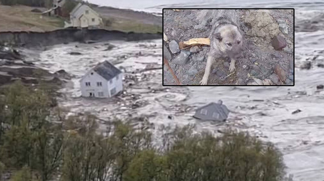 Διασώστες απομάκρυναν με ελικόπτερο παγιδευμένο σκύλο μετά την κατολίσθηση στη Νορβηγία