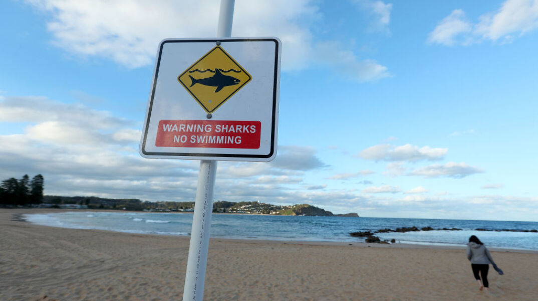 Αυστραλία: Καρχαρίας άρπαξε από το πόδι και σκότωσε 60χρονο σέρφερ στα ανοιχτά πολυσύχναστης παραλίας