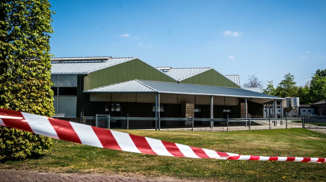 Με εντολή της ολλανδικής κυβέρνησης, χιλιάδες μινκ θανατώνονται με αέριο, εξαιτίας κρουσμάτων κορωνοϊού που σχετίζονται με μόλυνση τουλάχιστον δύο ανθρώπων