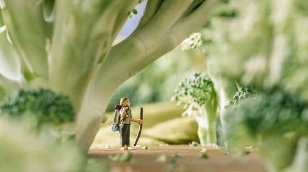 Erin Sullivan I Our Great Indoors