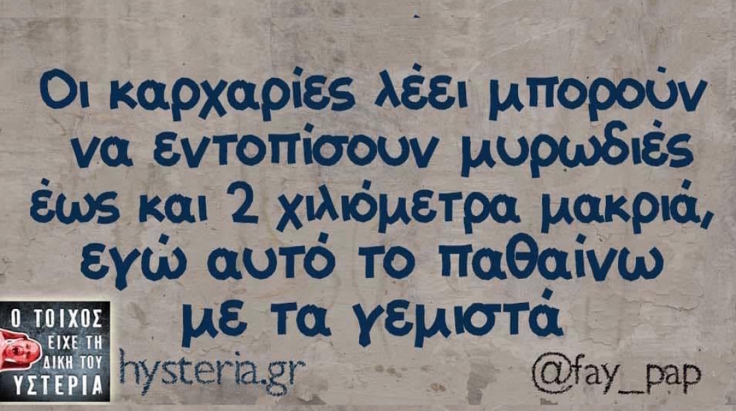 Αστεία memes, ατάκες, YOLO βίντεο, virals που ανέβηκαν στο διαδίκτυο και μας έκαναν να γελάσουμε