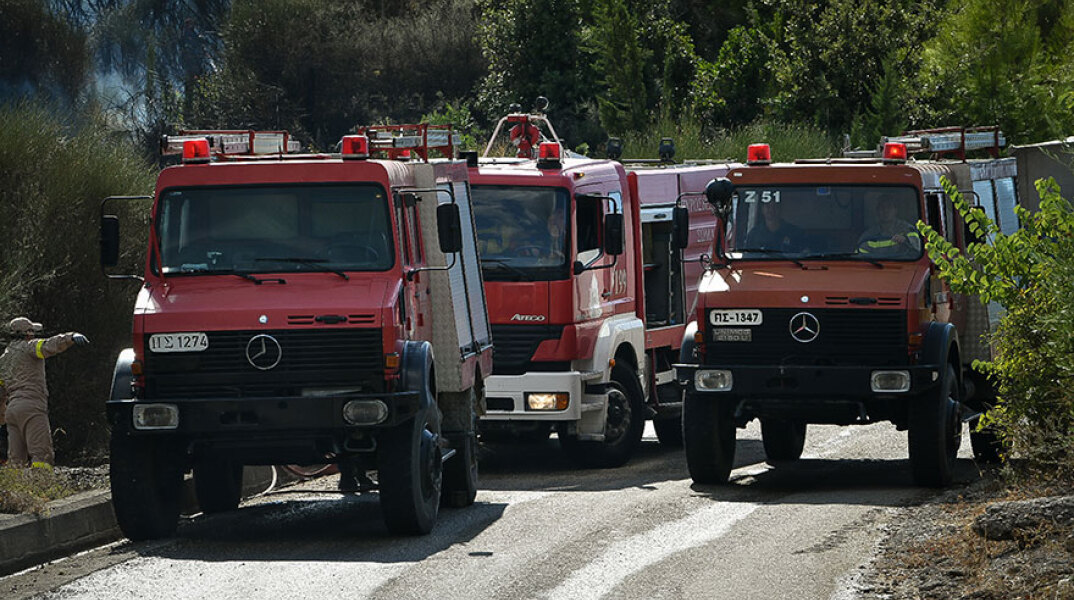 Φωτιά, Ηλεία