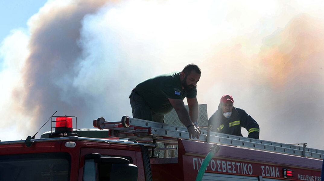 Φωτιά, Χαλκιδική