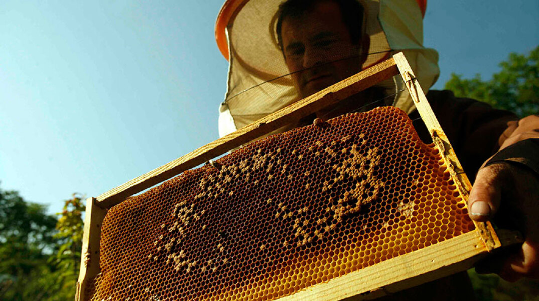 Μελισσοκόμος 