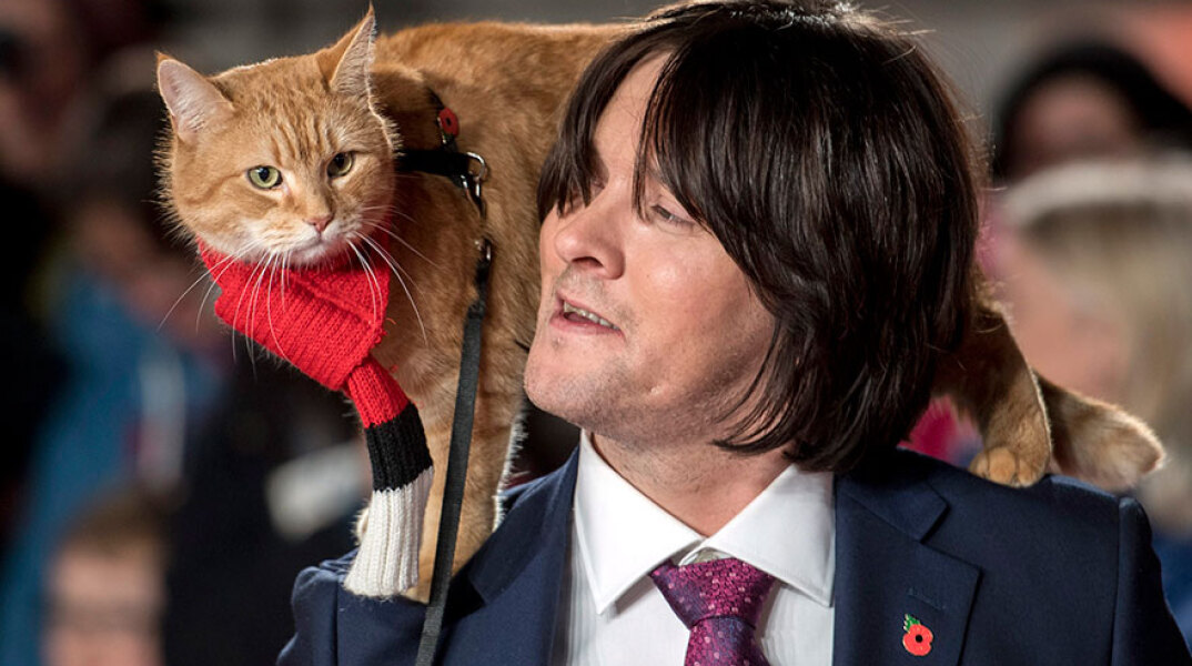 Ο γατούλης Μπομπ