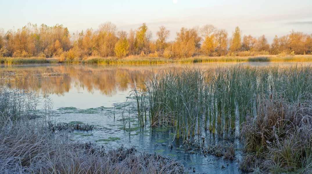 Στη Σιβηρία καταγράφηκε ο θερμότερος Μάιος από τότε που ξεκίνησα οι σχετικές μετρήσεις 