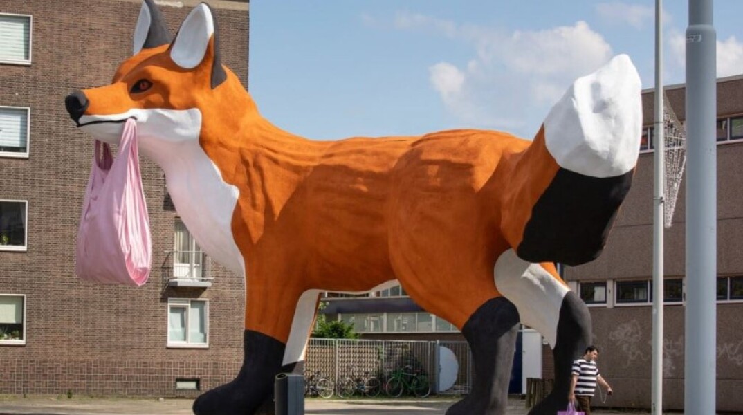 Αλεπού στο Ρότερνταμ