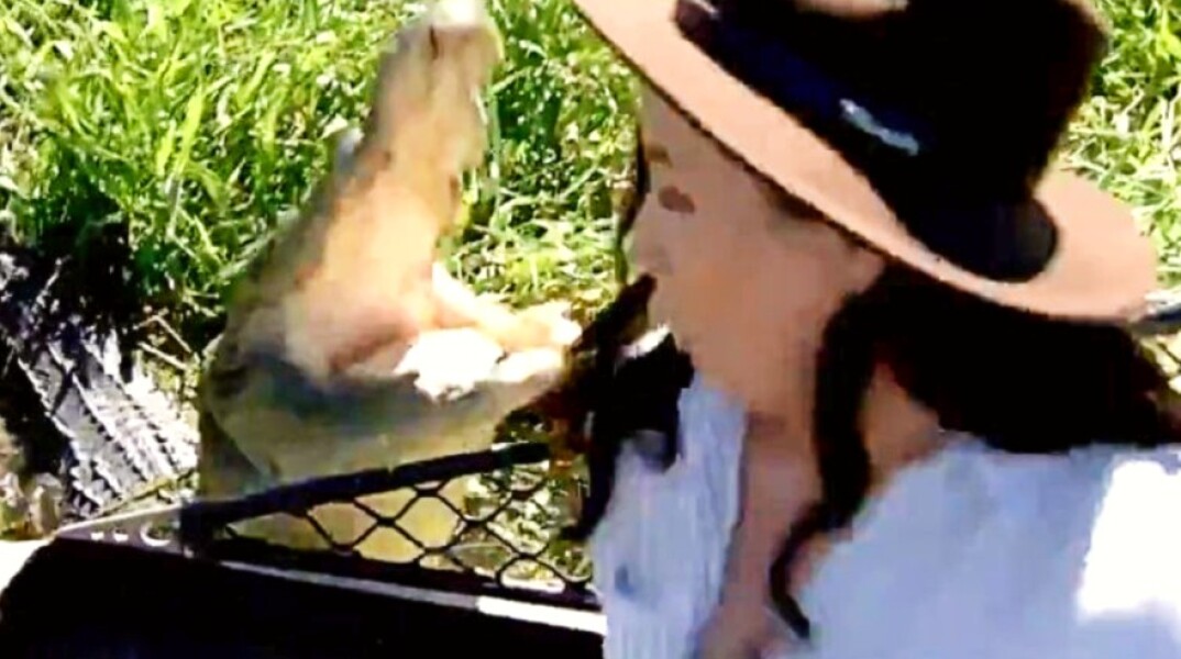 Επίθεση κροκόδειλου σε δημοσιογράφο