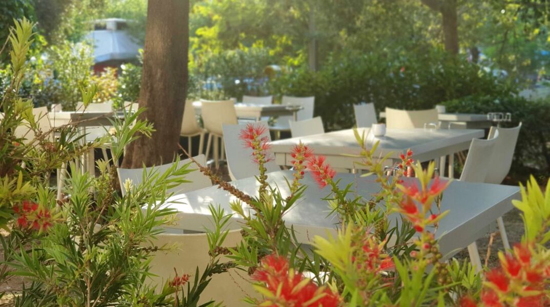 Vassilenas Parkside: μια μικρή όαση στην πλατεία Μαδρίτης