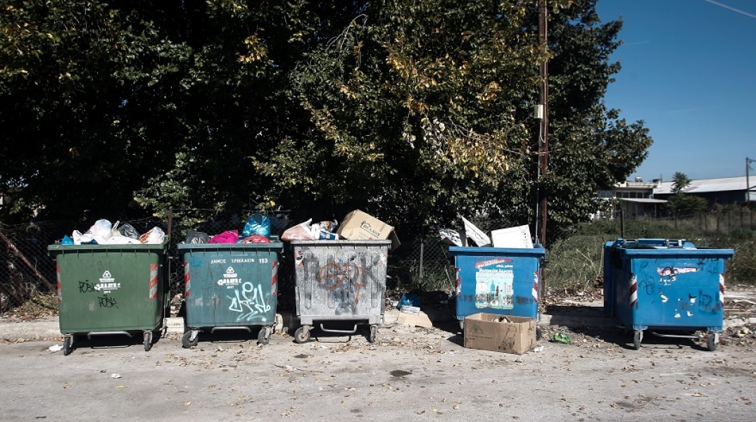 ΚΑΔΟΙ ΣΚΟΥΠΙΔΙΩΝ