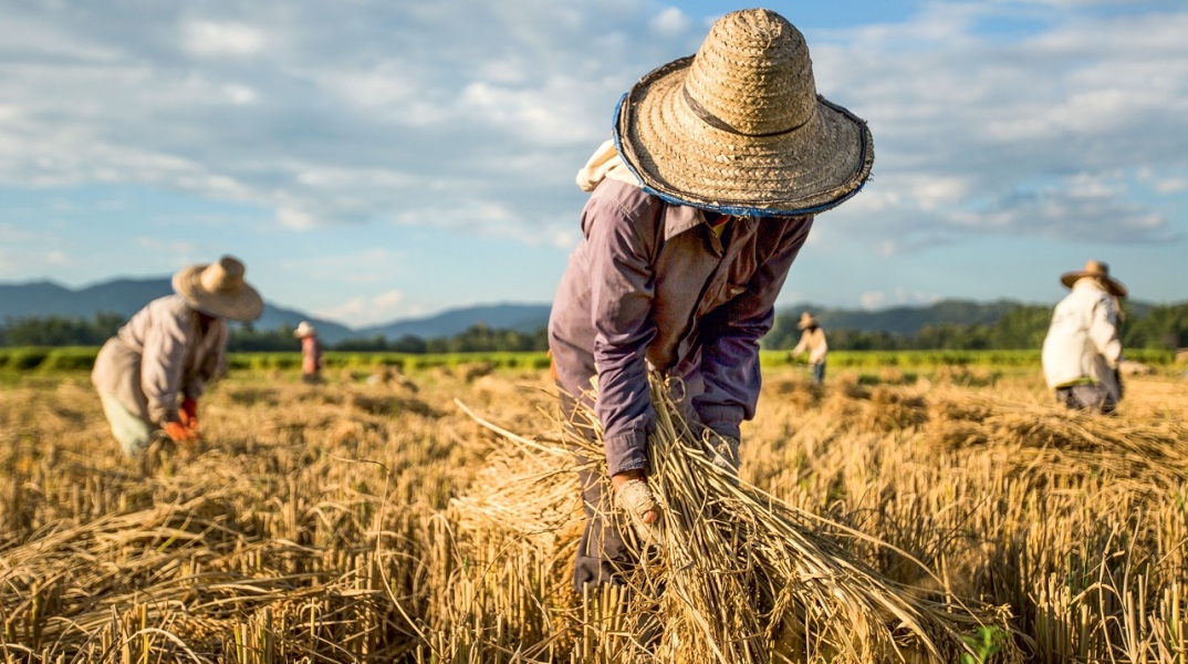 H L’Oréal αποκαλύπτει την επόμενη γενιά των φιλόδοξων στόχων της για τη βιωσιμότητα προς το 2030