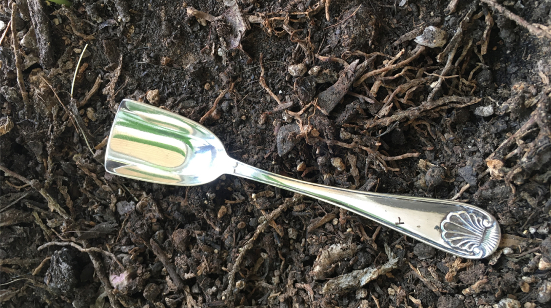 Η κλέφτρα κίσσα