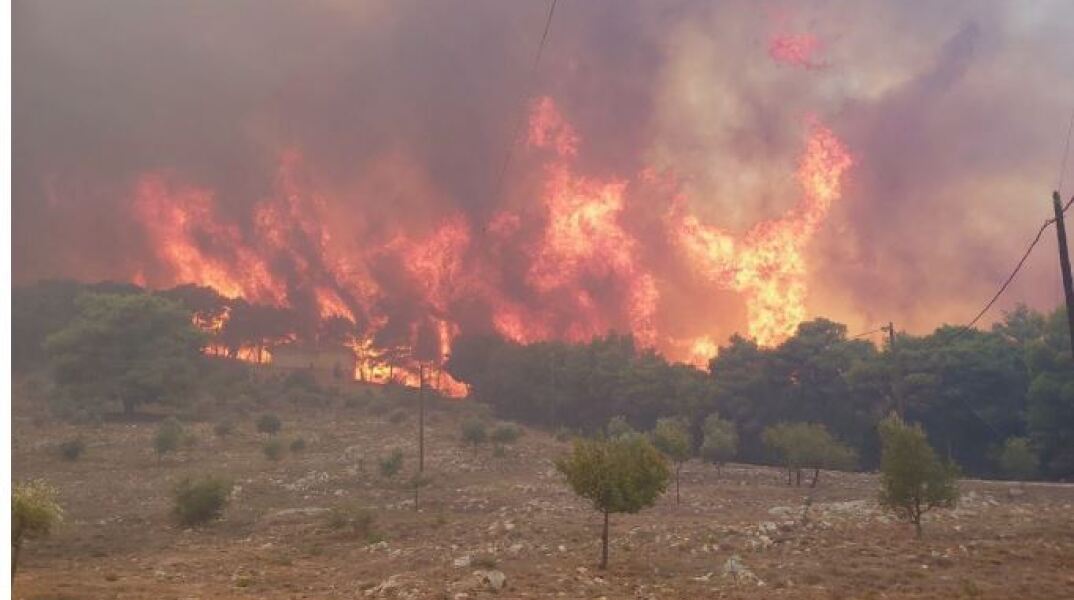 Φωτιά στην Κάρυστο 