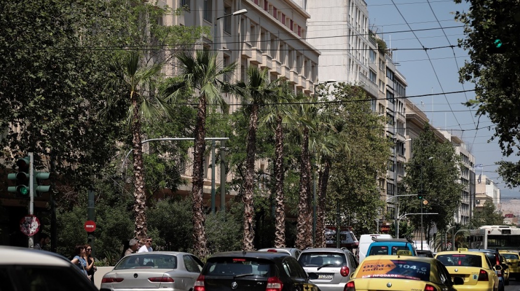 Φοίνικες στην Πανεπιστημίου