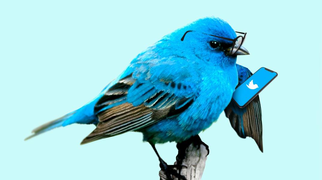 Εικονογράφηση για το Twitter