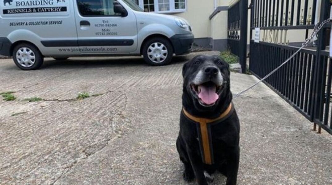 «Mε άφησαν γιατί δεν έχω μάθει να είμαι καλός»: Εγκατέλειψαν ηλικιωμένο σκύλο αφήνοντας σημείωμα στο Κεντ της Αγγλίας