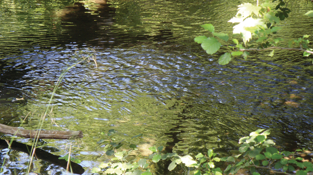 Ο Αχέροντας του Αλκίνοου Μπούκουρα