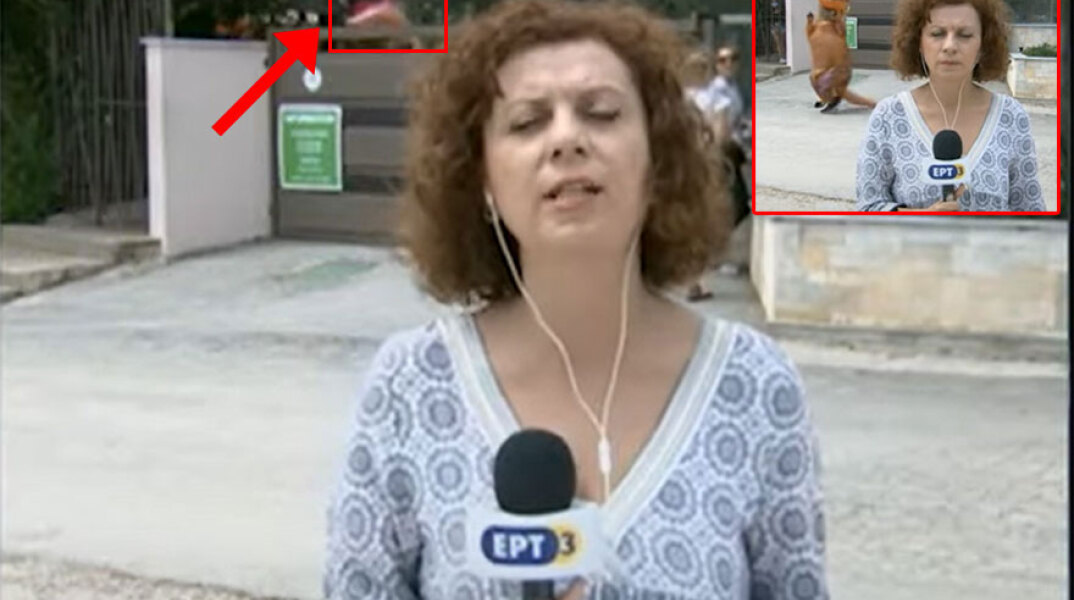 Το live της ΕΡΤ από τη Χαλκιδική είχε και... δεινόσαυρο