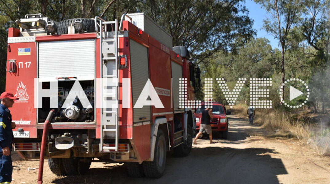 Επί ποδός οι πυροσβέστες στην Ηλεία - Ξέσπασε δασική πυρκαγιά στο Βαρθολομιό