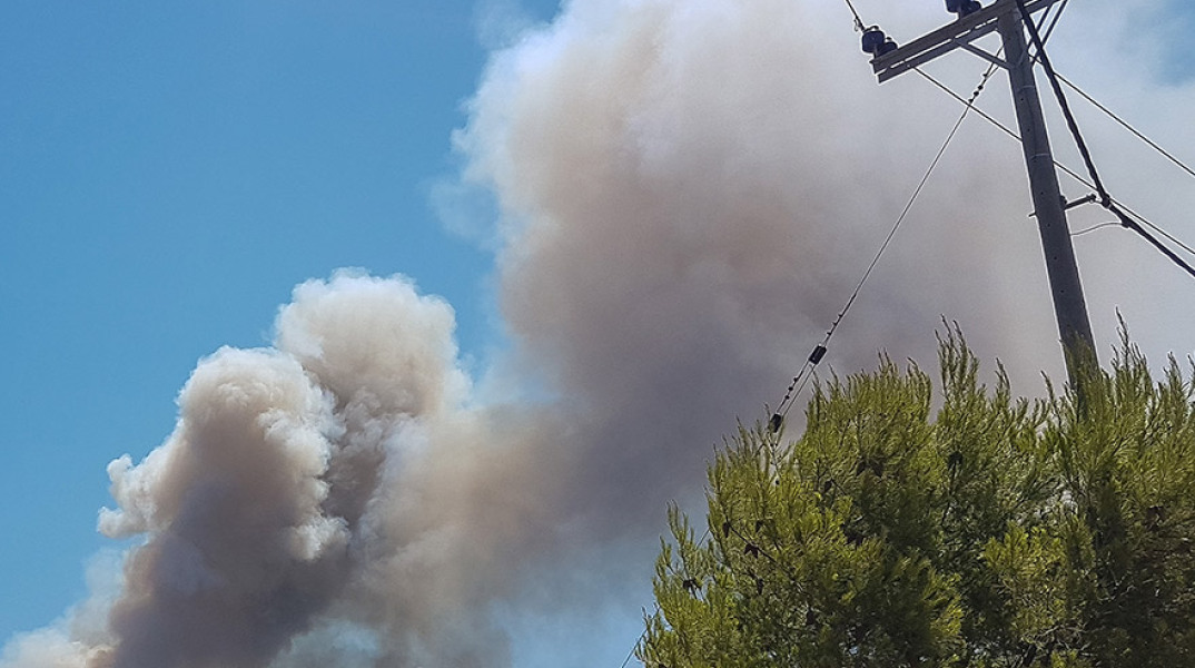 ΠΥΡΚΑΓΙΑ ΣΕ ΔΑΣΙΚΗ ΕΚΤΑΣΗ ΣΤΟ ΛΑΥΡΙΟ