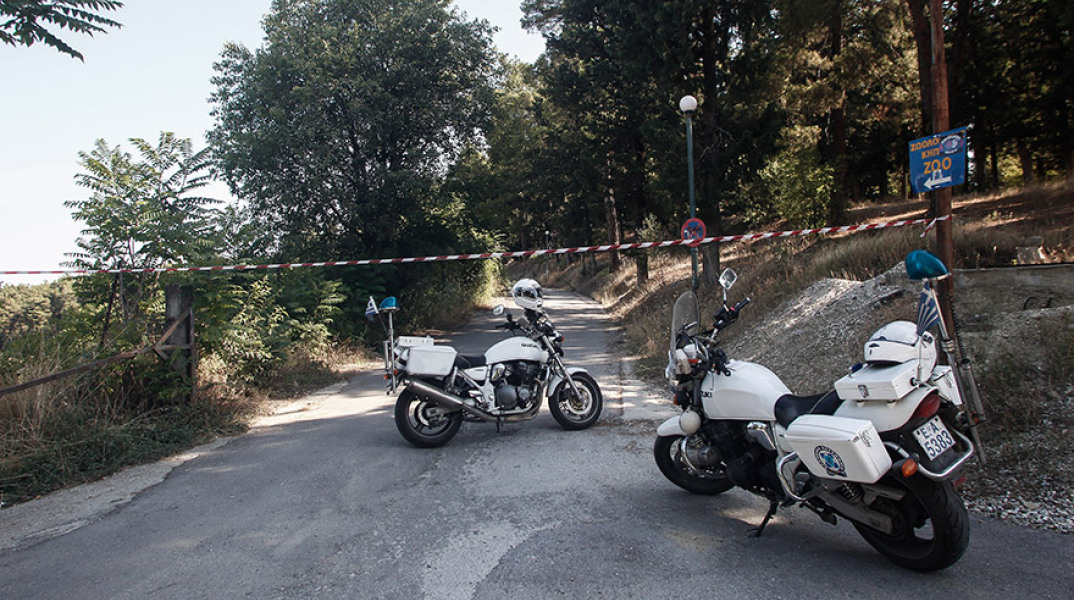 ΝΕΚΡΗ 16ΧΡΟΝΗ ΣΤΟΝ ΛΟΦΟ ΤΟΥ ΠΡΟΦΗΤΗ ΗΛΙΑ ΣΤΗΝ ΠΟΛΗ ΤΩΝ ΤΡΙΚΑΛΩΝ