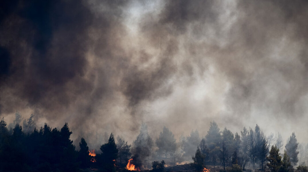 Φωτιά στις Κεχριές Κορινθίας: Τι είναι και πώς σχηματίστηκε το νέφος pyrocumulus