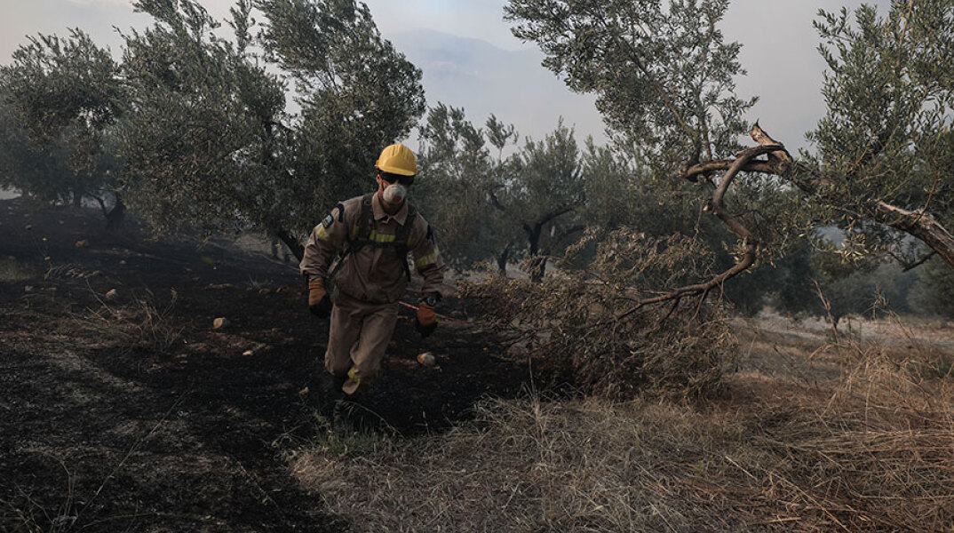 Τραυματισμός πυροσβέστη στη μεγάλη φωτιά στις Κεχριές Κορινθίας