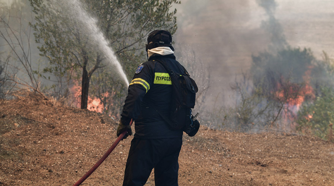 ΠΥΡΚΑΓΙΑ ΣΕ ΔΑΣΙΚΗ ΕΚΤΑΣΗ